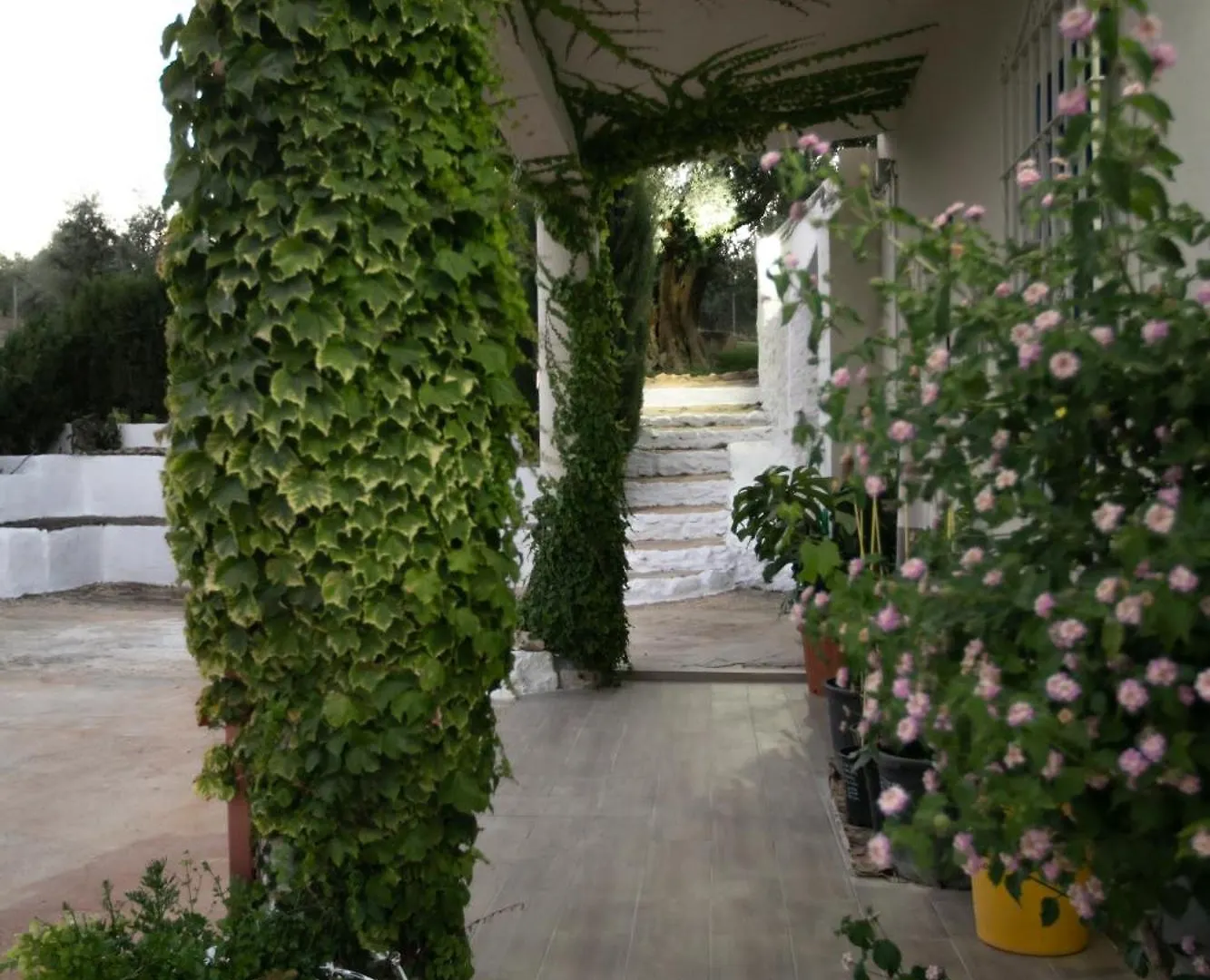 Cortijo Botanico El Cerro Villa Cabra Spain